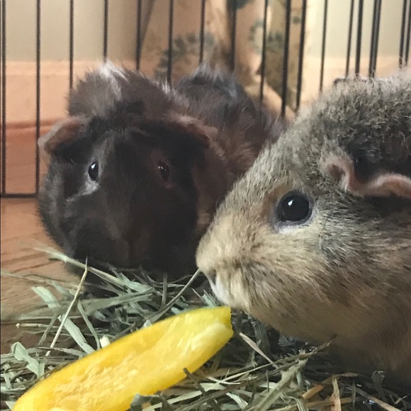 Meet your Posher, Jackie - Picture 7 of 8